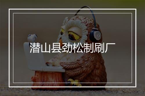 潜山县劲松制刷厂