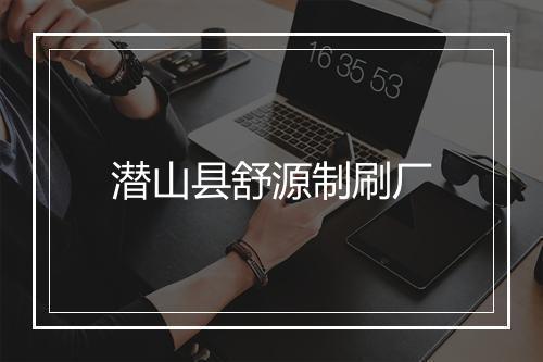潜山县舒源制刷厂