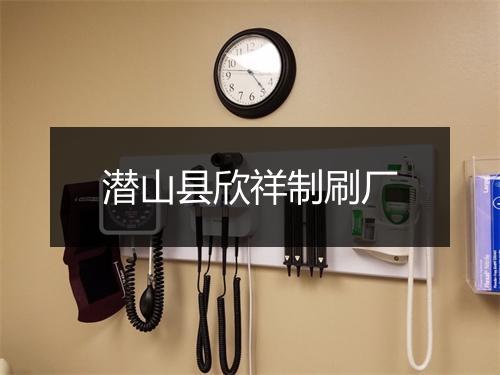 潜山县欣祥制刷厂
