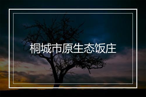 桐城市原生态饭庄