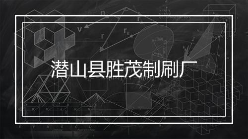 潜山县胜茂制刷厂