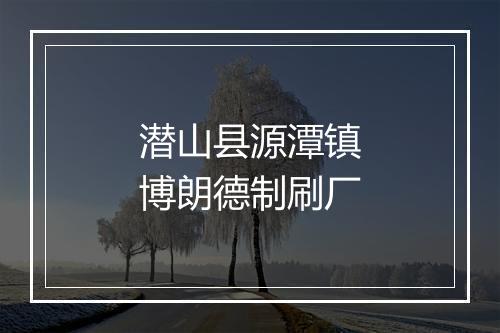 潜山县源潭镇博朗德制刷厂