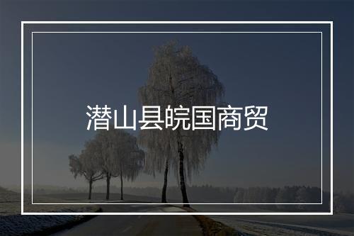 潜山县皖国商贸
