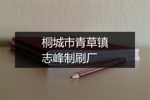 桐城市青草镇志峰制刷厂