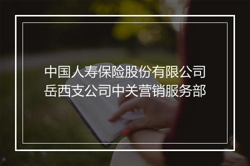 中国人寿保险股份有限公司岳西支公司中关营销服务部