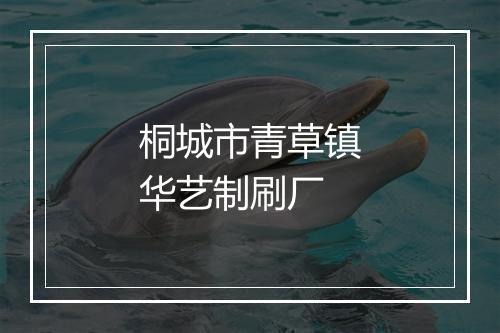桐城市青草镇华艺制刷厂