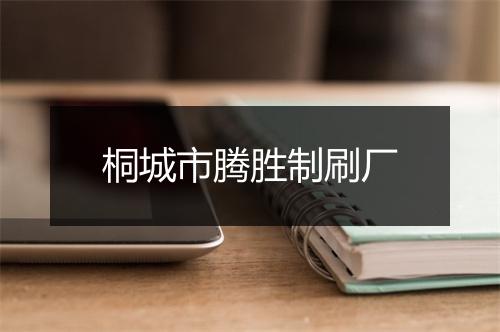 桐城市腾胜制刷厂