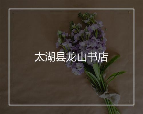 太湖县龙山书店
