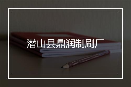 潜山县鼎润制刷厂