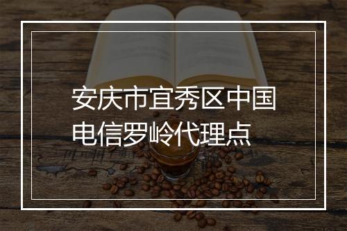 安庆市宜秀区中国电信罗岭代理点
