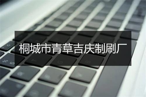 桐城市青草吉庆制刷厂