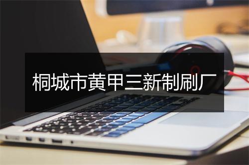 桐城市黄甲三新制刷厂