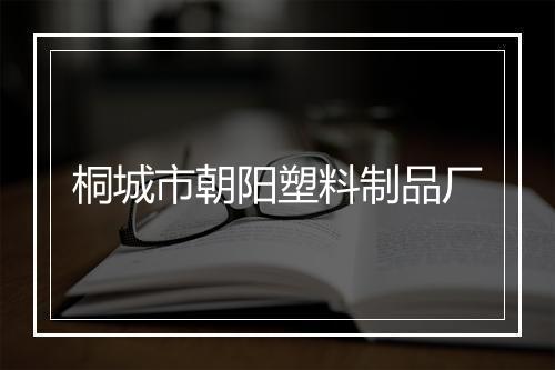 桐城市朝阳塑料制品厂