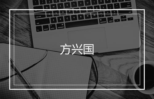 方兴国
