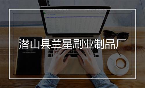 潜山县兰星刷业制品厂