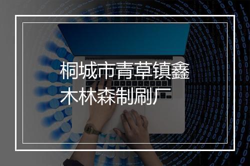 桐城市青草镇鑫木林森制刷厂