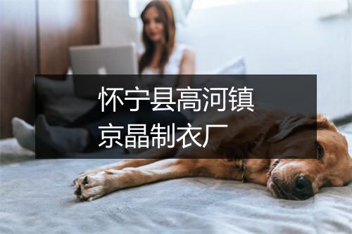 怀宁县高河镇京晶制衣厂
