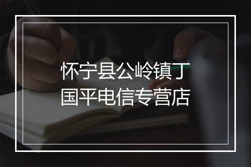 怀宁县公岭镇丁国平电信专营店