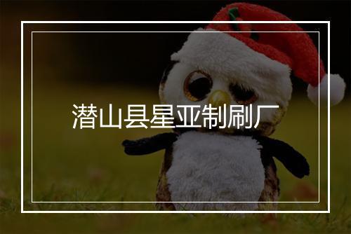 潜山县星亚制刷厂