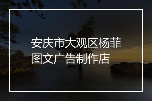 安庆市大观区杨菲图文广告制作店