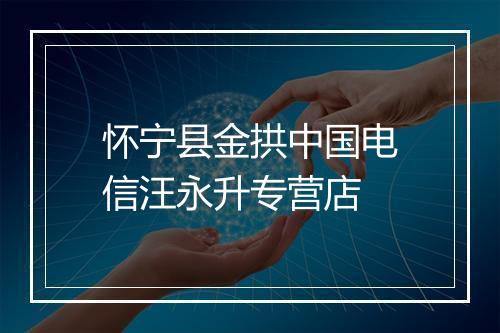 怀宁县金拱中国电信汪永升专营店