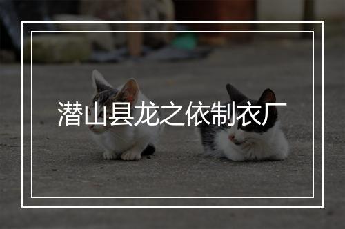 潜山县龙之依制衣厂