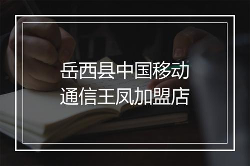 岳西县中国移动通信王凤加盟店