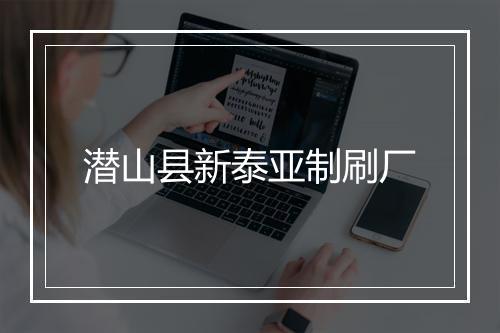 潜山县新泰亚制刷厂