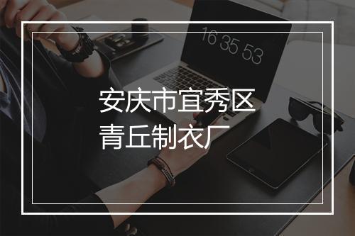安庆市宜秀区青丘制衣厂