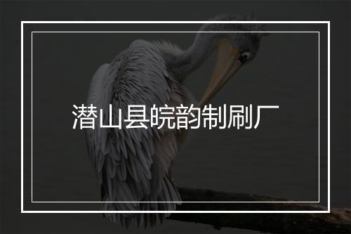 潜山县皖韵制刷厂