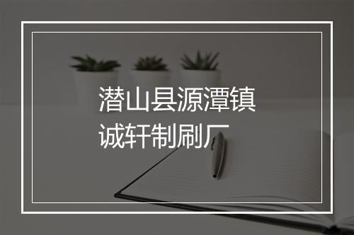 潜山县源潭镇诚轩制刷厂