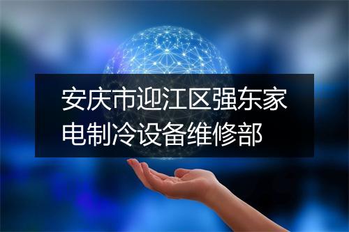 安庆市迎江区强东家电制冷设备维修部