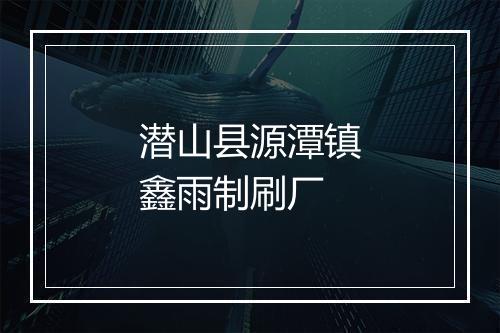 潜山县源潭镇鑫雨制刷厂