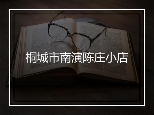 桐城市南演陈庄小店