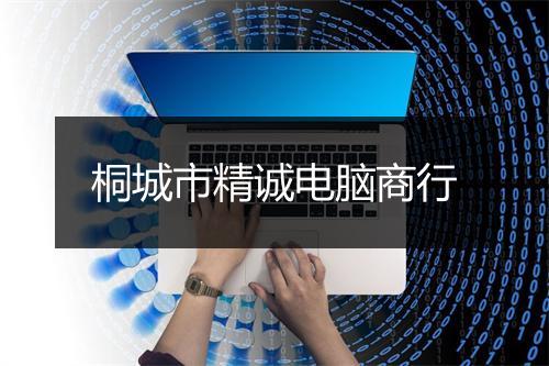 桐城市精诚电脑商行
