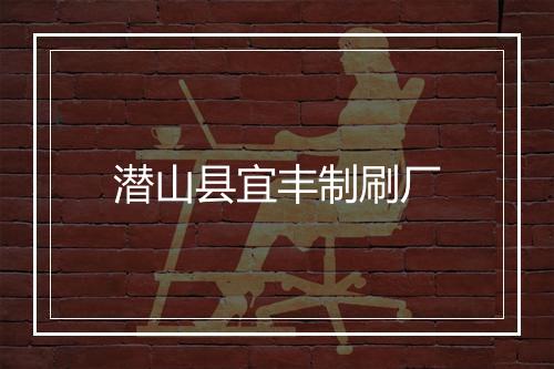 潜山县宜丰制刷厂