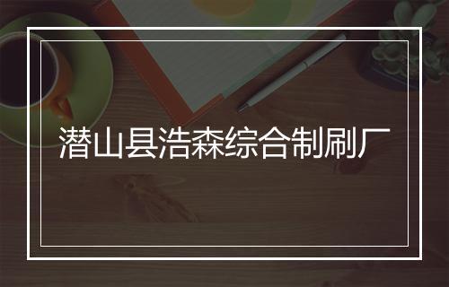 潜山县浩森综合制刷厂