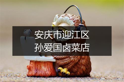 安庆市迎江区孙爱国卤菜店