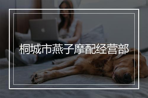 桐城市燕子摩配经营部