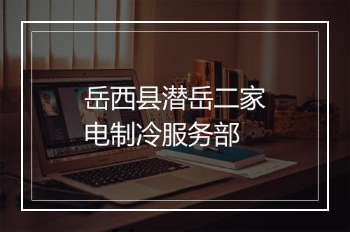 岳西县潜岳二家电制冷服务部