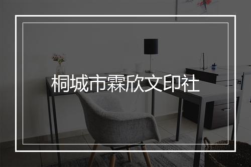 桐城市霖欣文印社