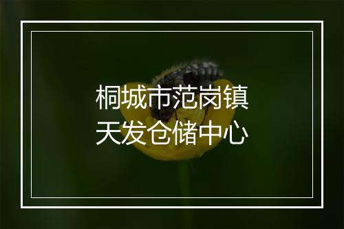 桐城市范岗镇天发仓储中心