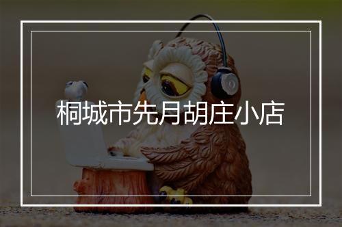 桐城市先月胡庄小店