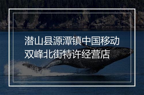 潜山县源潭镇中国移动双峰北街特许经营店