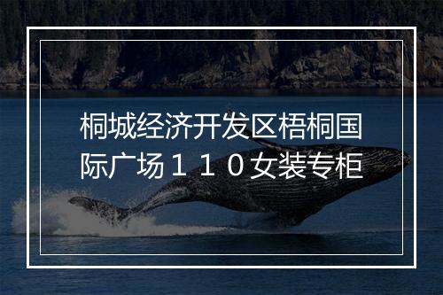 桐城经济开发区梧桐国际广场１１０女装专柜