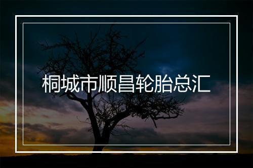 桐城市顺昌轮胎总汇