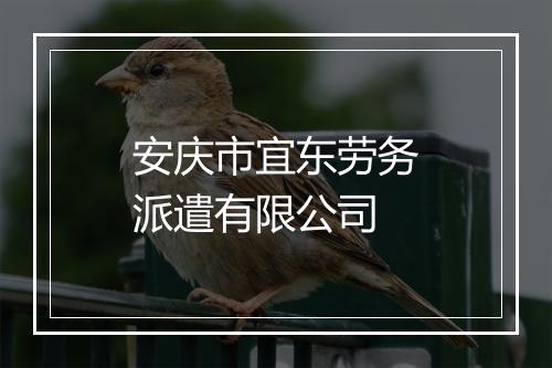 安庆市宜东劳务派遣有限公司