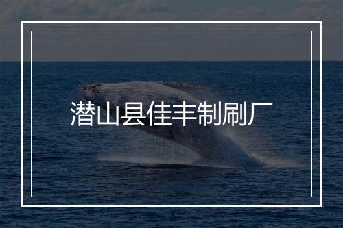 潜山县佳丰制刷厂