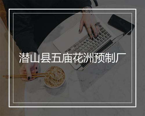 潜山县五庙花洲预制厂