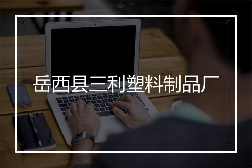 岳西县三利塑料制品厂